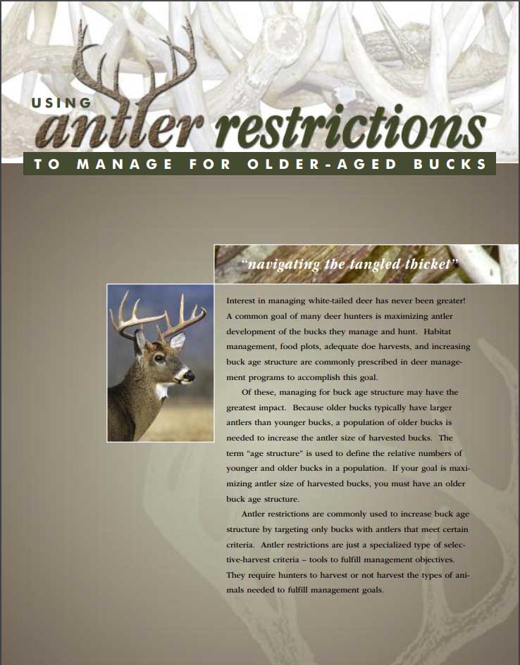 Antler Restrictions Deer Ecology & Management Lab Mississippi State