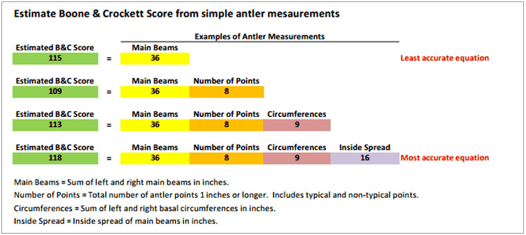 Antler scoring basics from SCDNR - Carolina Sportsman
