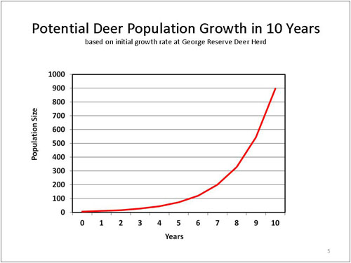 Population Dynamics Of Deer Deer Ecology Management Lab 